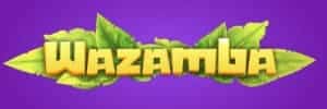 Jogo gremio novorizontino