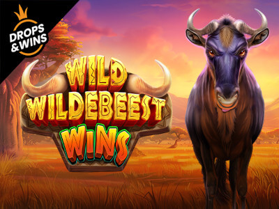 Como jogar blackjack